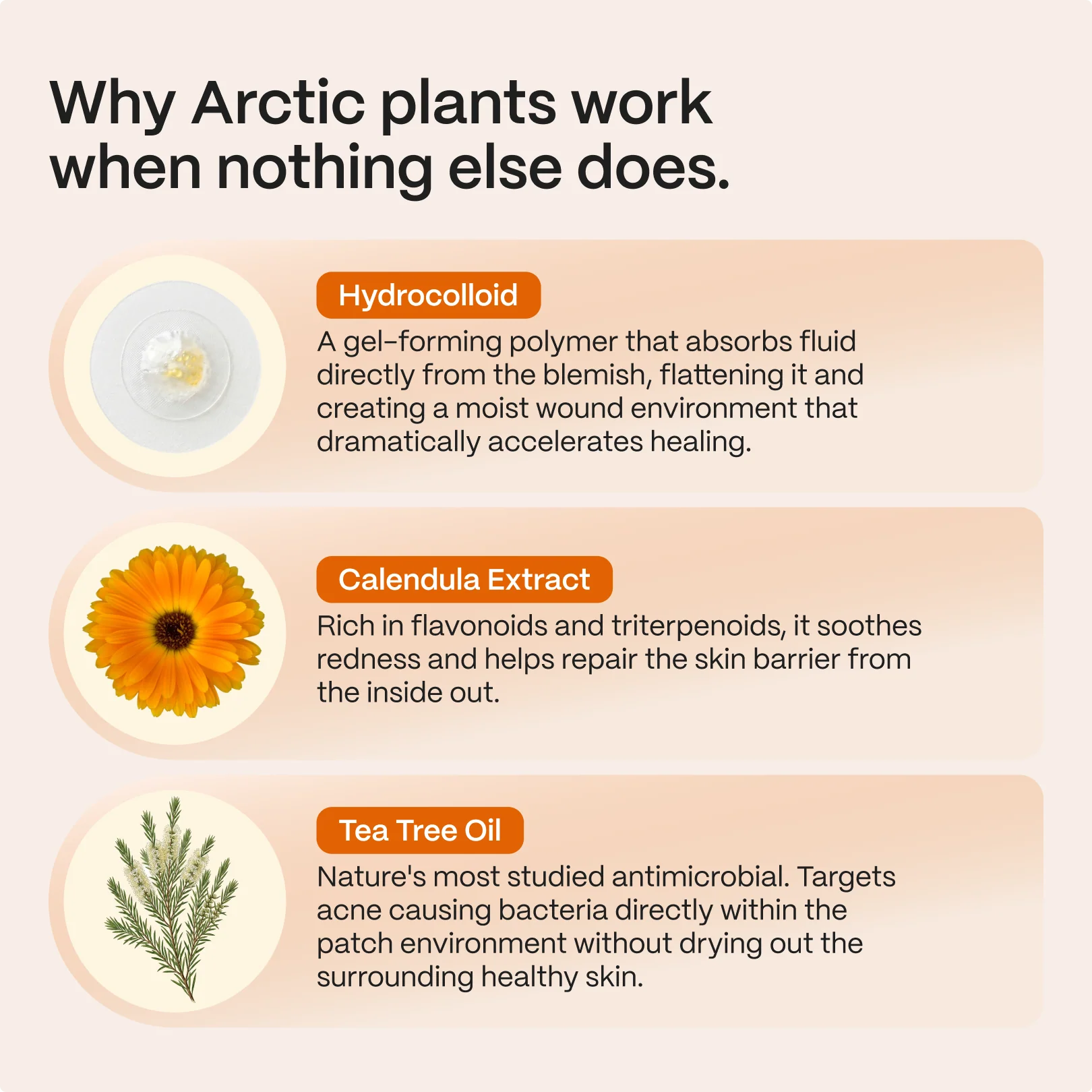 Acne Patches with Arctic Herbs - Image 3